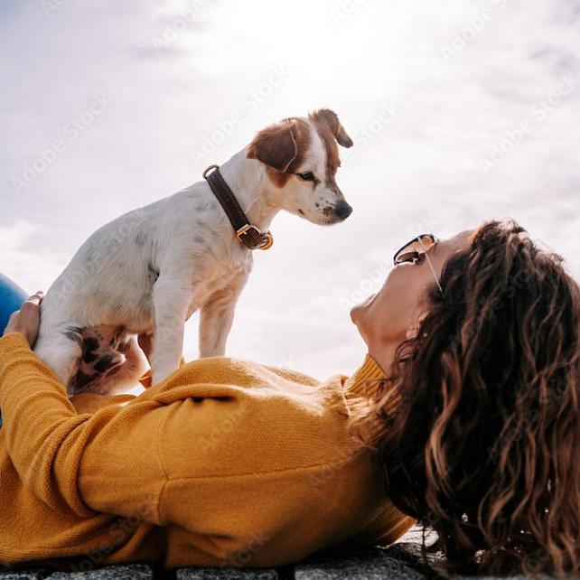 Voyager avec votre animal de compagnie